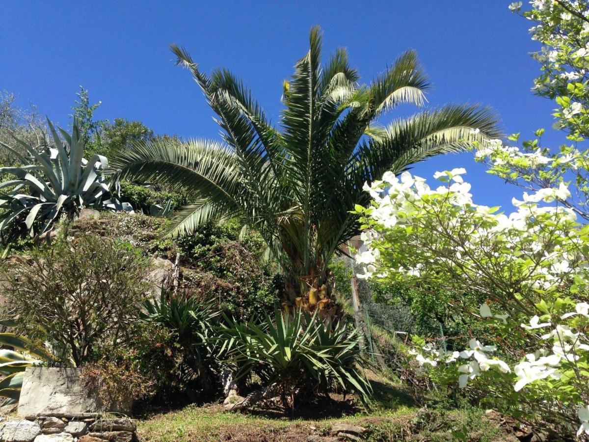 Apartmán Residenza La Pianca Musso Exteriér fotografie